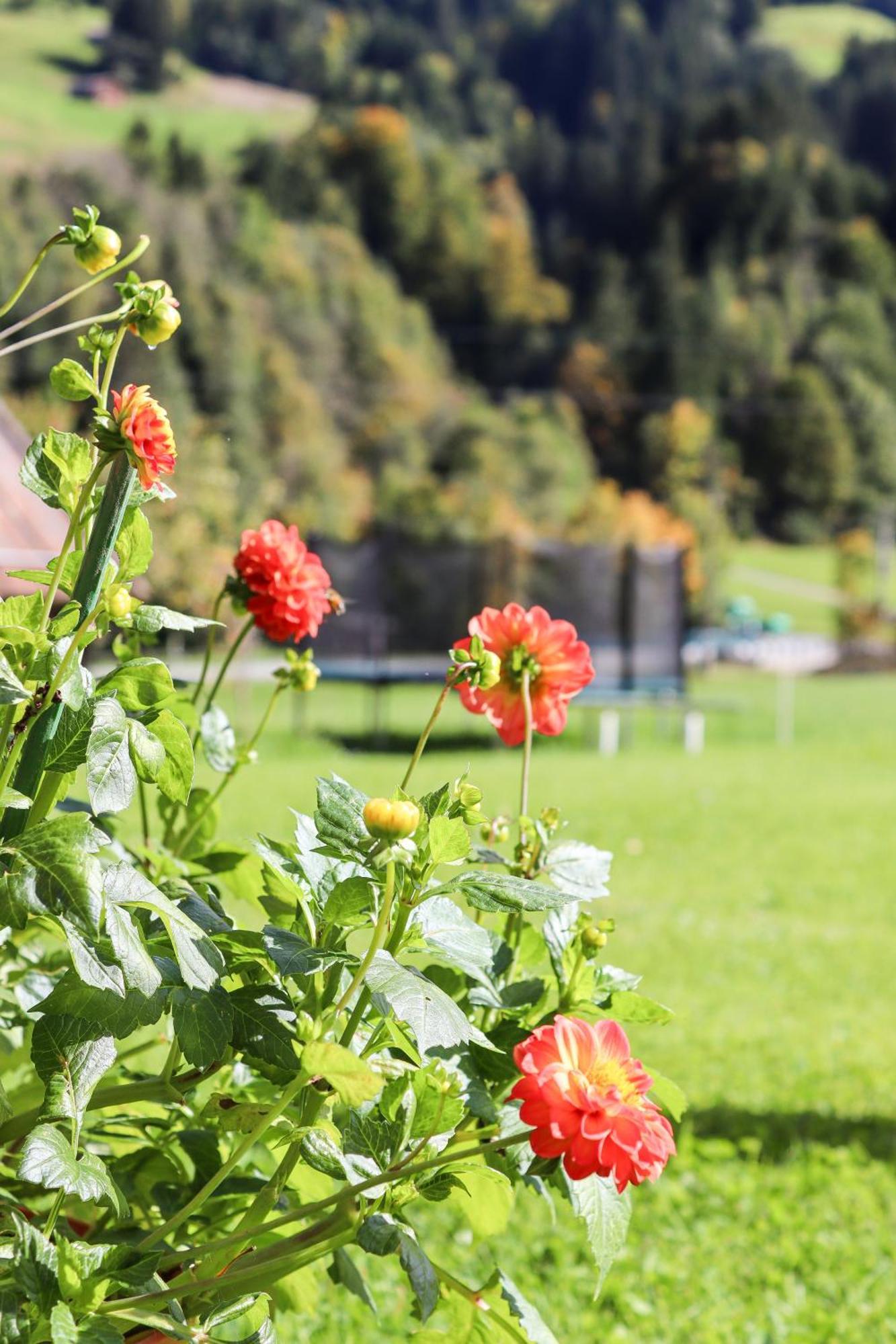 Apartment Vordermitterast Kirchberg in Tirol Bagian luar foto